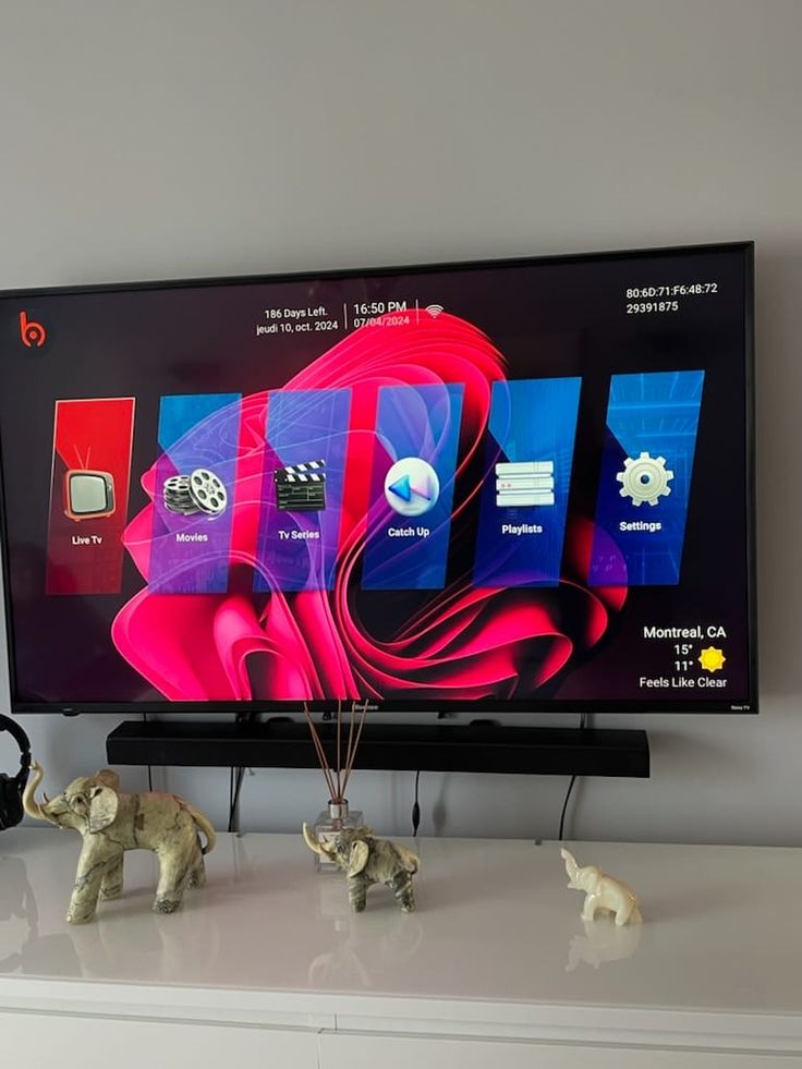 Jan V customer review photo showing EPG channel guide interface